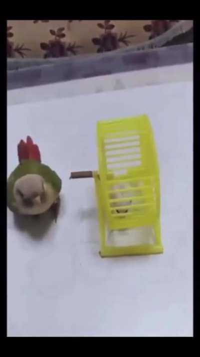 I saw that video and just had to add the right music