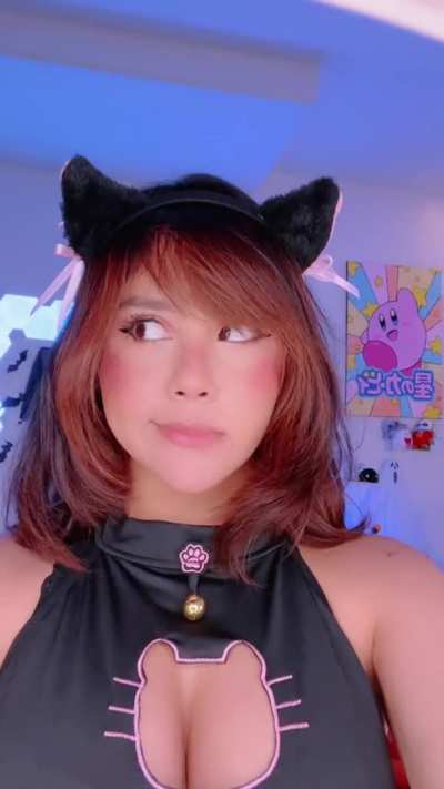 Cat girl Neeko 2