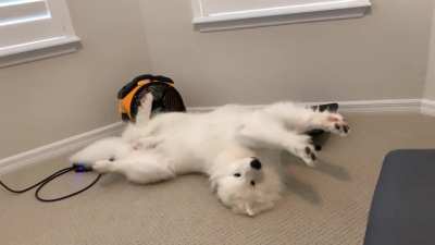 Doin’ a dry n snooze