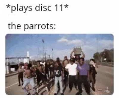 They groovin