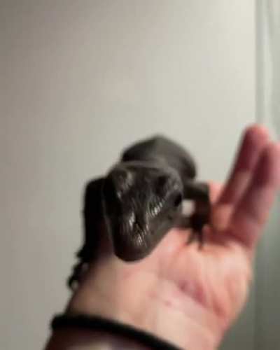 My new black dragon, Lilith. I just made her an Instagram because she clearly loves the camera 😄