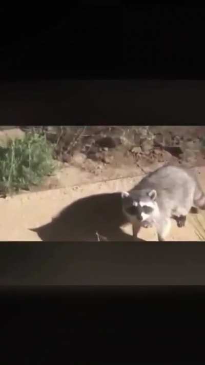 Shit Brian, we’ve been caught