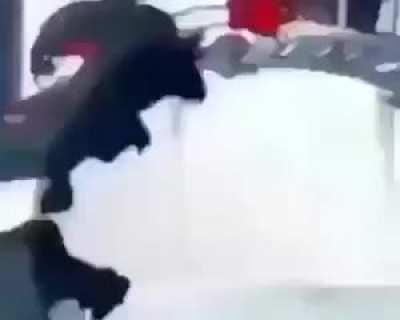 AHHHHAHHHHHHHH Karen