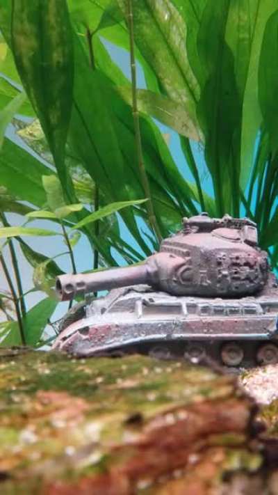 Aquarium tank