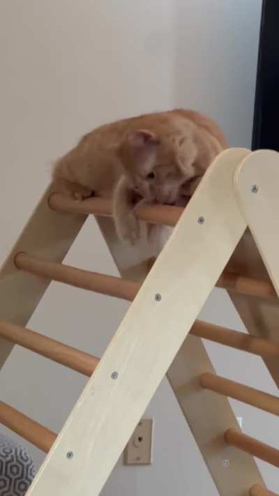He chomp