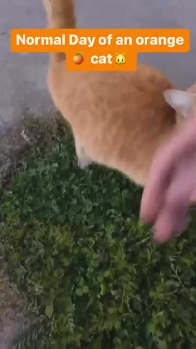 He likes to say hi