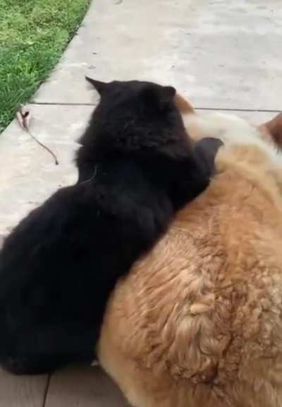 Just the two of us