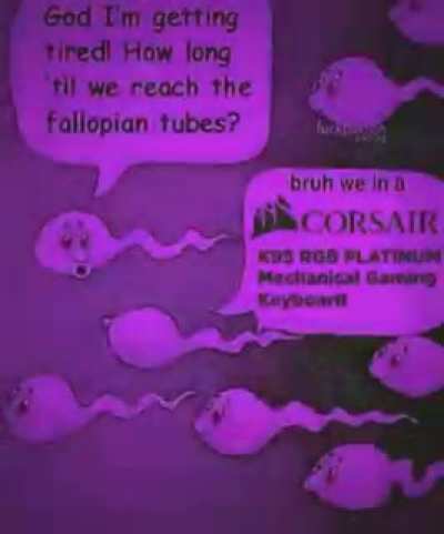 RGB keyboard > fleshlight