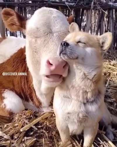 Made my day ❤