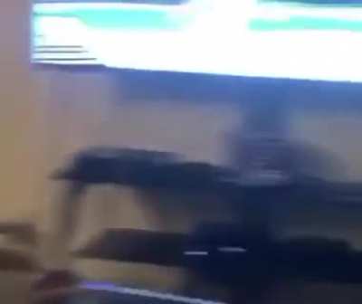 gameplay trailer reaction