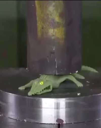 when an alligator is a bomb…