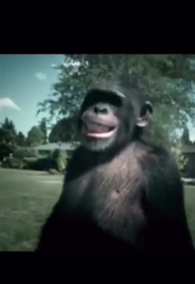 monke egg defense