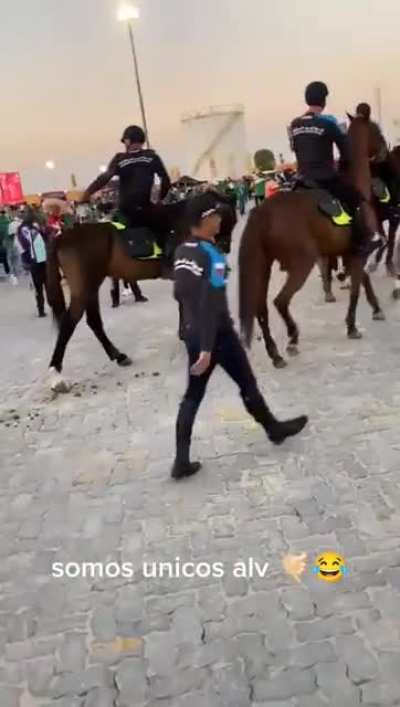 Caballos