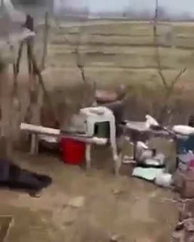 Maldita Dalva