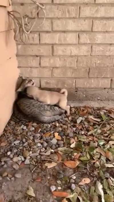 Found you!