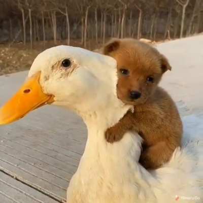 Best friends