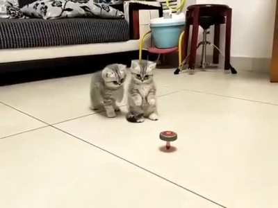Maybe Maybe Maybe
