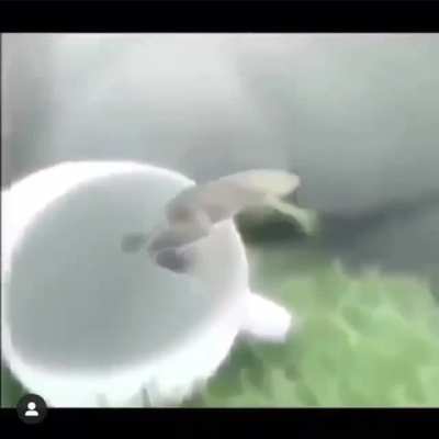 a