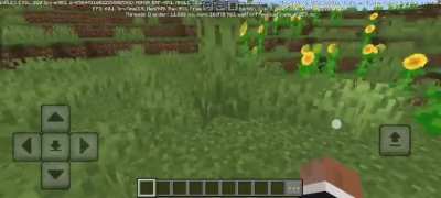 Necesito ayuda con este bug en minecraft bedrock