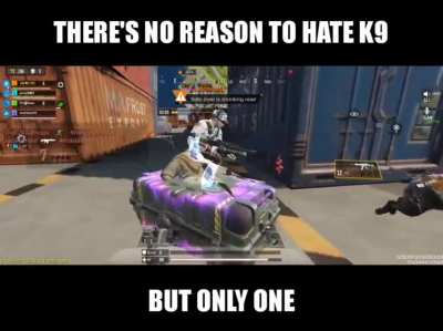 I just love K9.