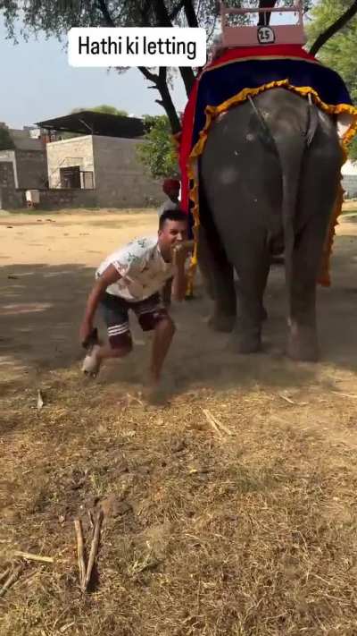Endians 