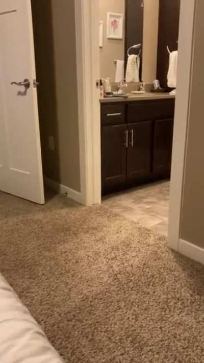 Just fetch, nothing else to see here