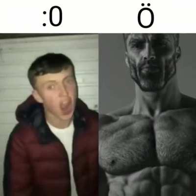 Ö