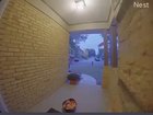 Our Nest came through in a big way when we couldn’t be home for Halloween