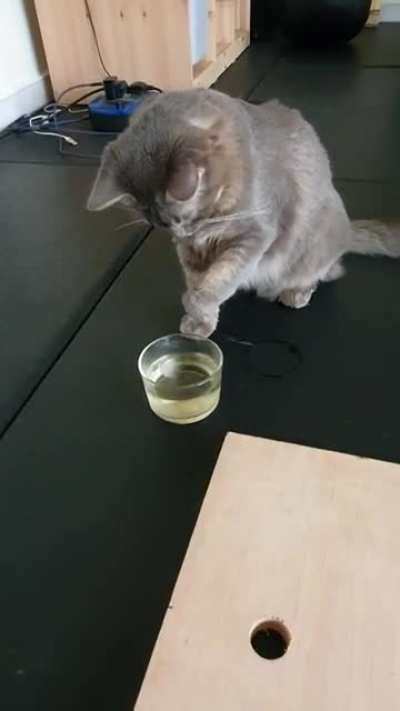 Touch Tha Ice Cube