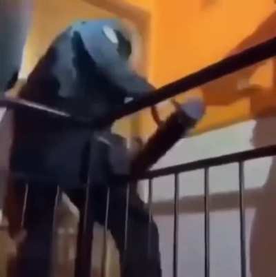 No one coming in that door