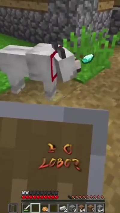 o lobo pede