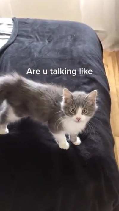 You talking to me?