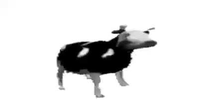 No I’m not depressed, I don’t have cancer, I didn’t get a GF, you can’t see me on go fund me and I haven’t achieved anything special. All I can offer you is ČØW
