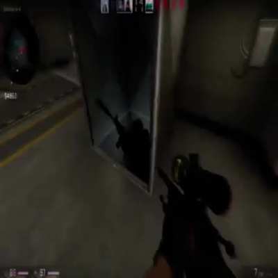 edgebug wunk