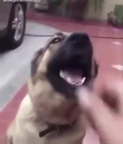 gtfo