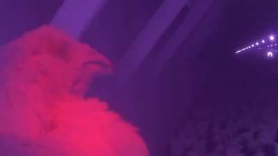 Undercover investigation reveals horrific production practices used by industry giant Tyson Foods