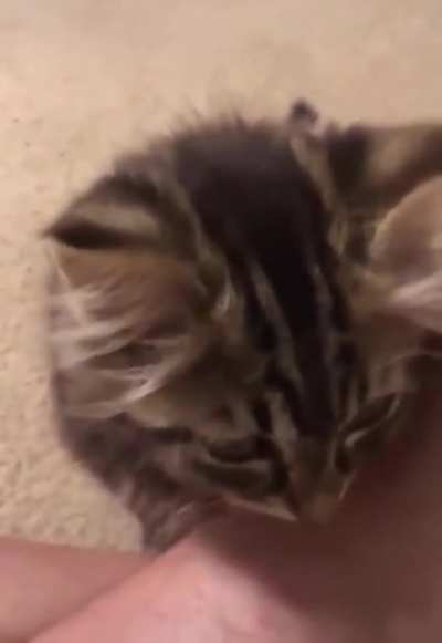 He screm