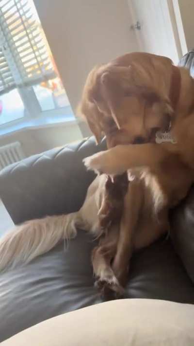 It’s a love hate relationship