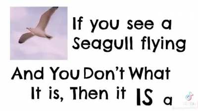 Factual Information