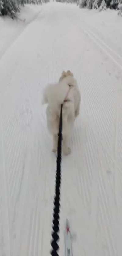 First time skiing