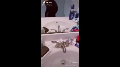 Big booty