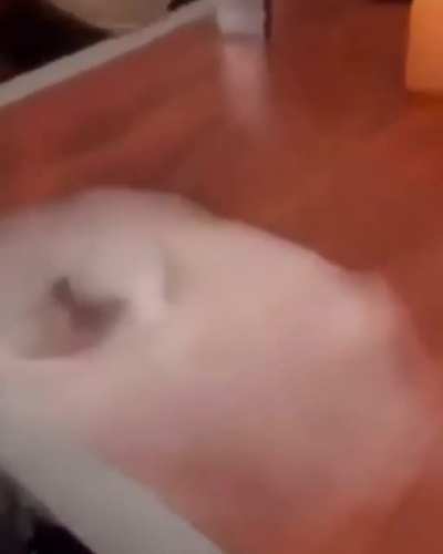 Smoke trick!