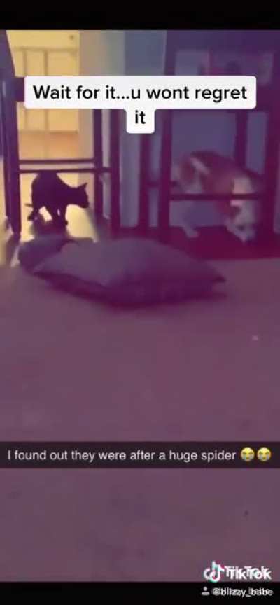 Run!