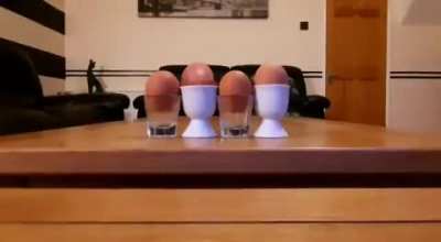 Where is the rotten egg?