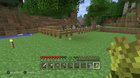 My first attempt at keeping sheep and cows