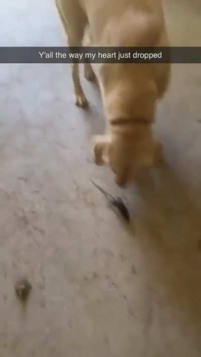 What was in his mouth 