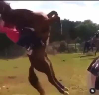 Jake Paul’s next opponent?