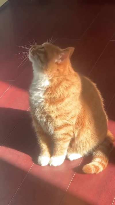No job, No stress, just morning yawns