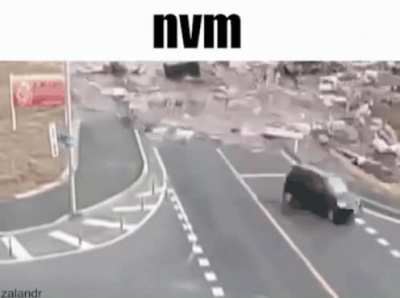 Moldy Flood