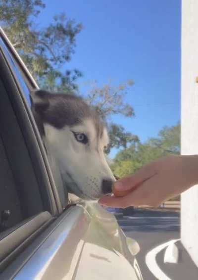 Open the door of the car, let me give her a life-long lesson